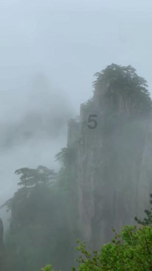 逃离野丛之森